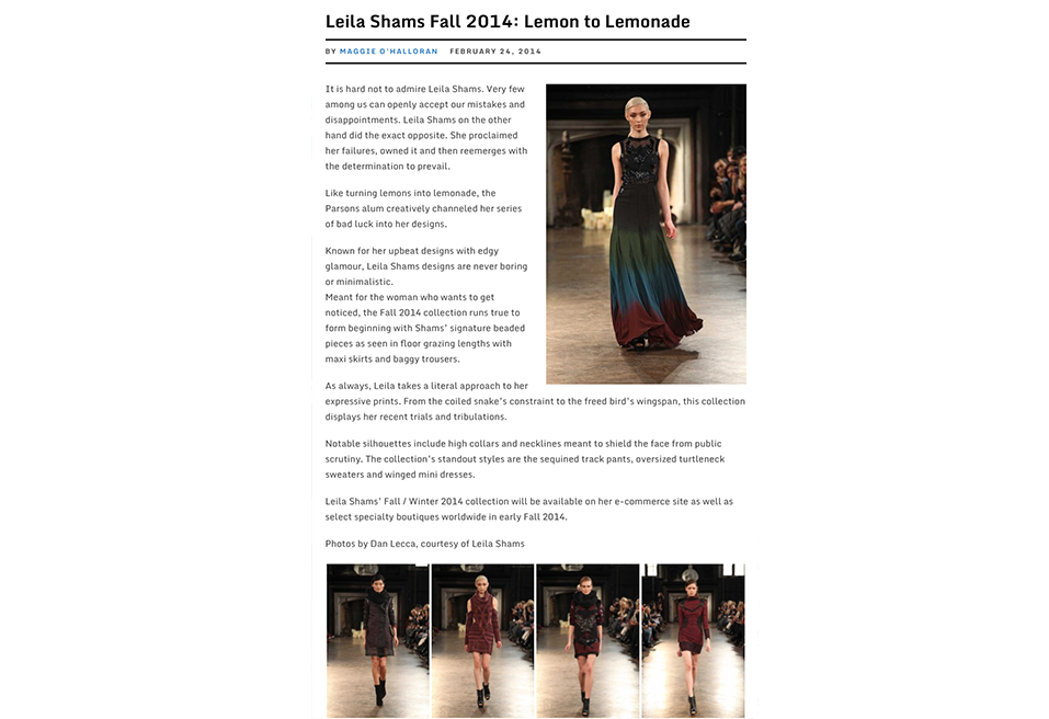 Leila Shams Fall | Lemon to Lemonade